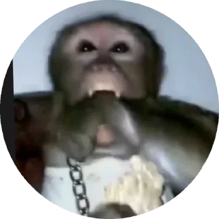 Стикер пон - 7