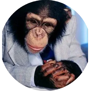 Стикер пон - 9