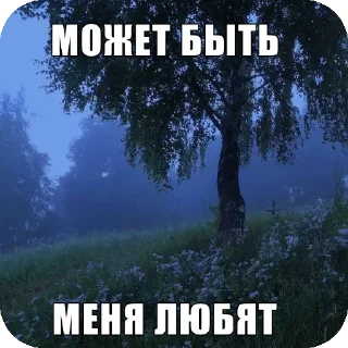 Sticker Больше стиков тут: @stikery4 - 2