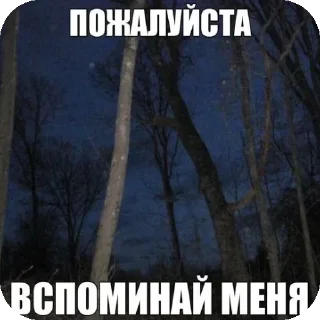 Sticker Больше стиков тут: @stikery4 - 10