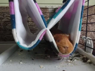 Стикер Типо мемы (Created By: @StikerProBot) - 10