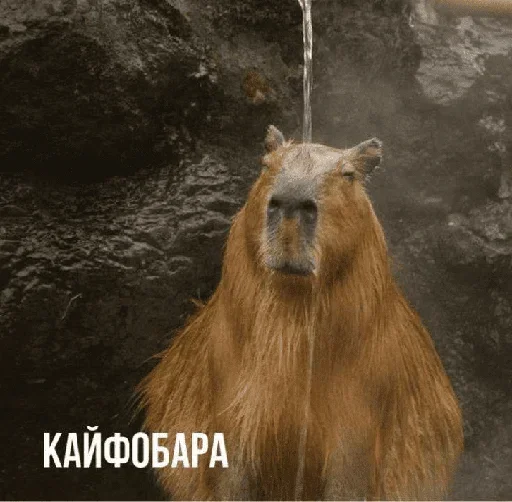 Больше стикеров 👉🏻 @stickertg4 - 