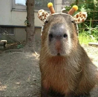 Стикер Больше стикеров 👉🏻 @stickertg4 - 6