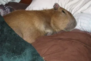 Стикер Больше стикеров 👉🏻 @stickertg4 - 9