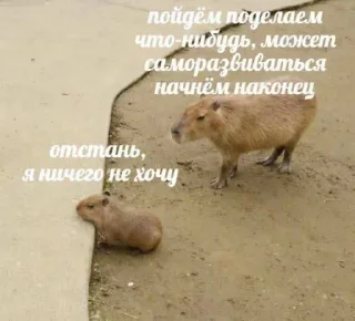 Стикер Больше стикеров 👉🏻 @stickertg4 - 1