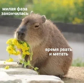 Стикер Больше стикеров 👉🏻 @stickertg4 - 8