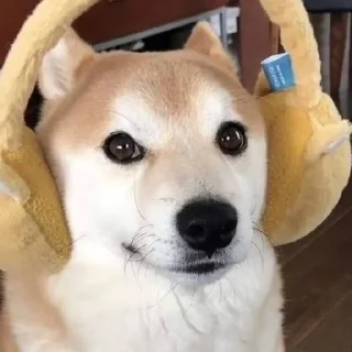 Стикер eMeDogsV2 - 3