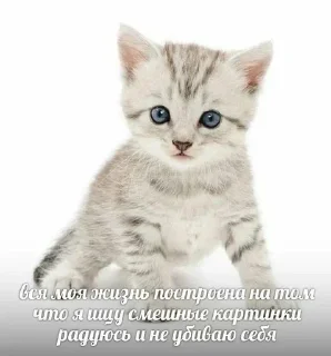 Стикер Создано в @sozdsti_bot - 1