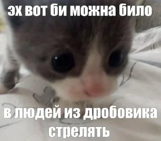 Стикер Создано в @sozdsti_bot - 2