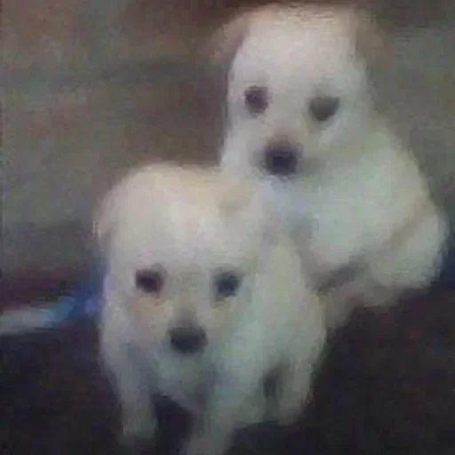 Больше стикеров 👉🏻 @stickertg4 - 