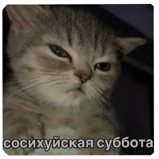 Sticker Больше стиков тут: @stikery4 - 6
