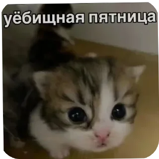 Sticker Больше стиков тут: @stikery4 - 3