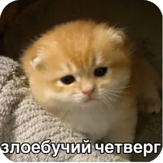 Sticker Больше стиков тут: @stikery4 - 5