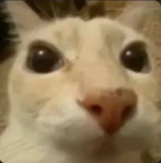 Sticker Больше стиков тут: @stikery4 - 7