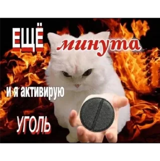 Стикер Алинин стикерпак - 8