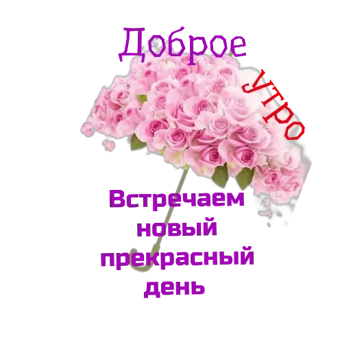 Sticker ea801b92_169c_4014_85cd_09b024bfd8d0_by_sticat_bot - 1