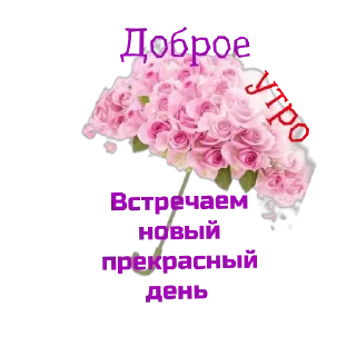 Стикер Alla - 3