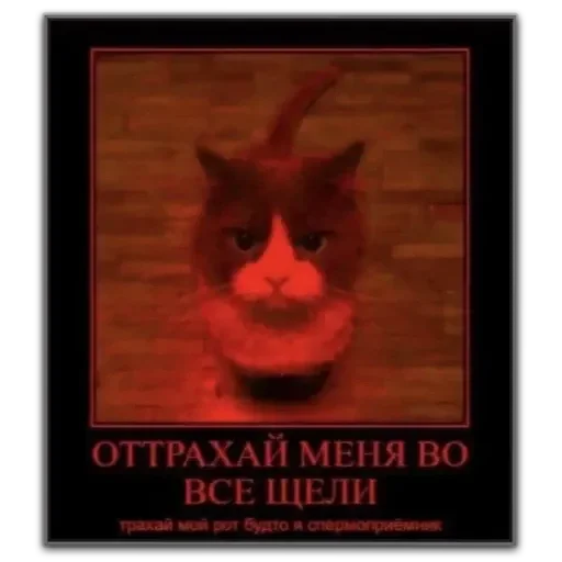 Стикер мемсы - 10