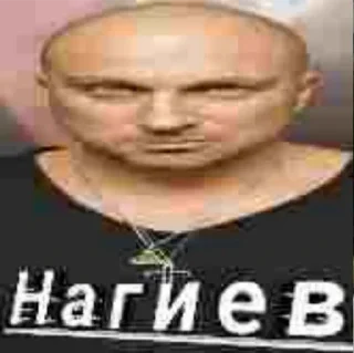 Стикер @chechetka_begemota 1 - 7