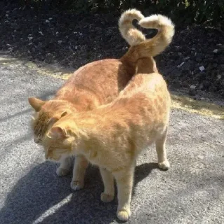 Стикер lovelovelove - 6