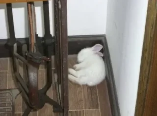 Стикер lovelovelove - 9