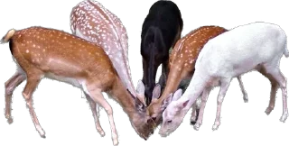 Стикер lovelovelove - 10