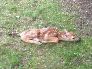 Стикер lovelovelove - 7