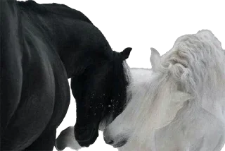 Стикер lovelovelove - 2