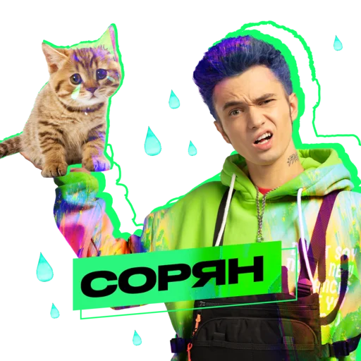 кошка кошки малого и среднего размера Человек