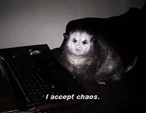 animal mammal indoor