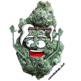 Стикер @rasta_memes - 2