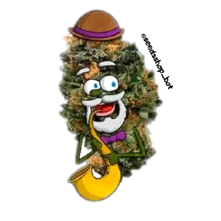 Стикер @rasta_memes - 6