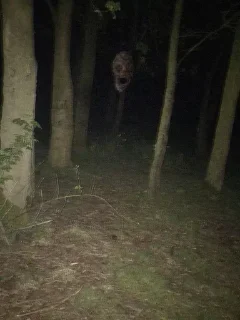 Sticker Больше стиков тут: @stikery4 - 10