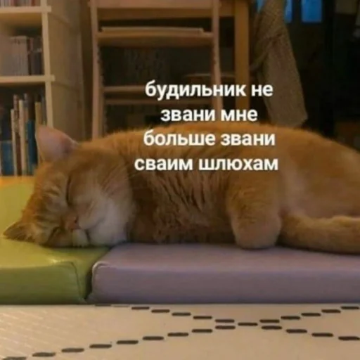 Стикер eb0b000 - 1