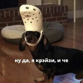 Стикер Ebobo - 10