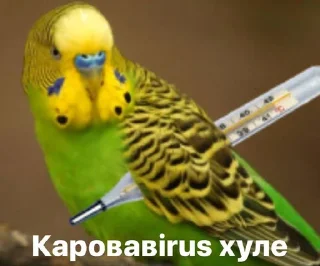 Стикер Ebobo - 7