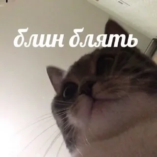 Стикер Ebobo - 8