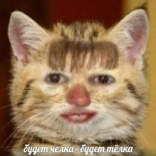 Стикер Ebobo - 4