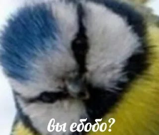 Стикер Ebobo - 3