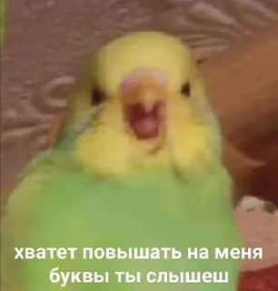 Стикер Ebobo - 11