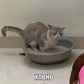 Стикер Ebobo - 5