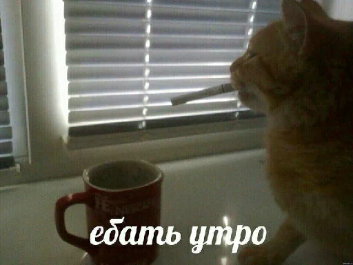 Sticker коллекция юного ебаклака - 11
