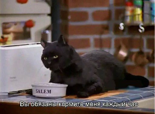 Sticker коллекция юного ебаклака - 0