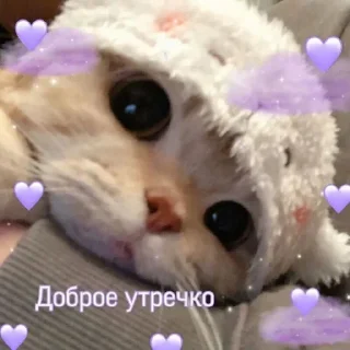 Sticker /ᐠ. ｡.ᐟ\ᵐᵉᵒʷ ˎˊ˗ @e4zybot - 10