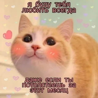 Sticker /ᐠ. ｡.ᐟ\ᵐᵉᵒʷ ˎˊ˗ @e4zybot - 8