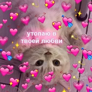 Sticker /ᐠ. ｡.ᐟ\ᵐᵉᵒʷ ˎˊ˗ @e4zybot - 7