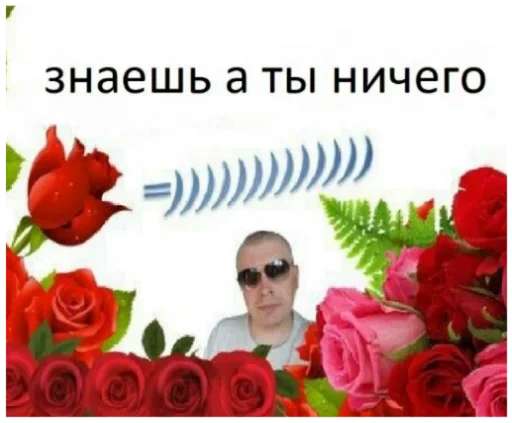 роза лепесток растение