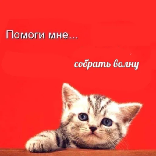 Стикер ebalwb - 1