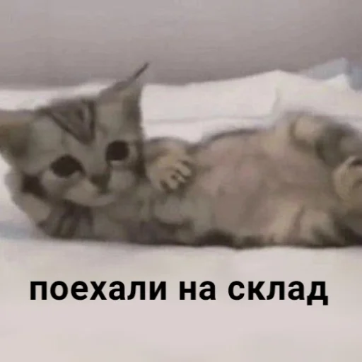 Стикер ebalwb - 1