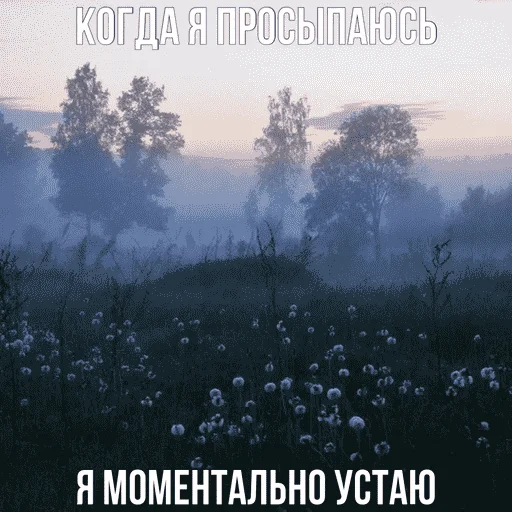 Стикер ebalyaetyjizn - 1